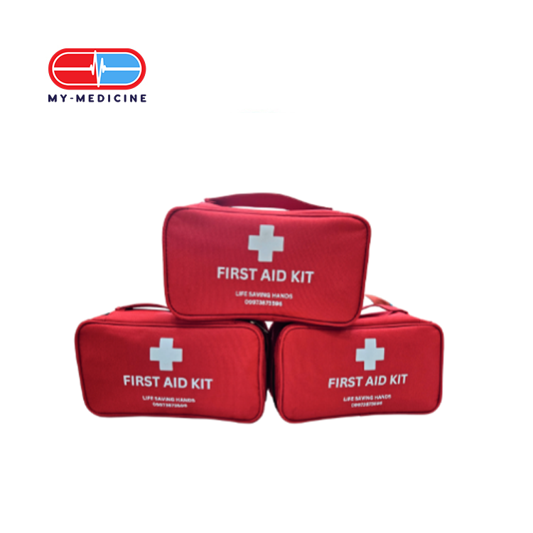 Life Saving Hands First Aid Kit Medium - Premium