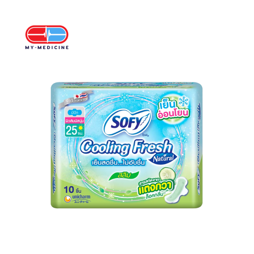 [CP140139] Sofy Cooling Fresh Day 25cm (10 Pieces)